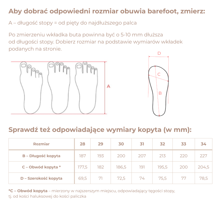 barefoot--podeszwa-S-adidasy (1).png