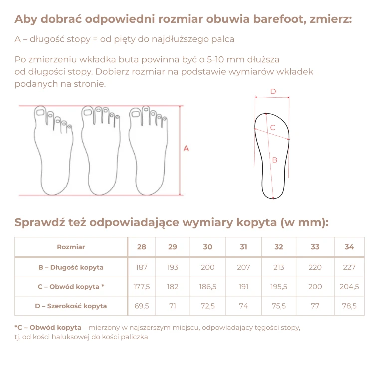 barefoot--podeszwa-S-adidasy.png