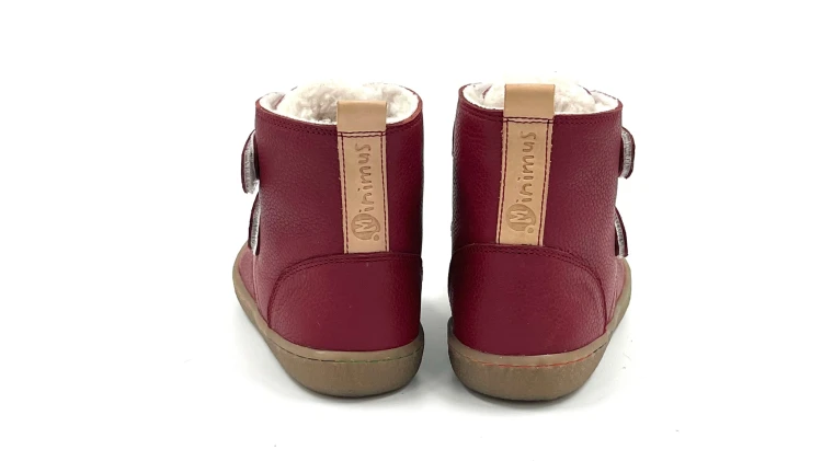 store_01HHS4QGA15EXX2VPVN0CZ16C6_assets_1724170044654-Robin 2 red back.webp